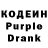 Codein Purple Drank Denis Zaycev