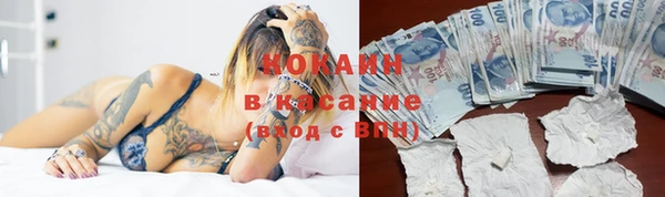 ПСИЛОЦИБИНОВЫЕ ГРИБЫ Сатка