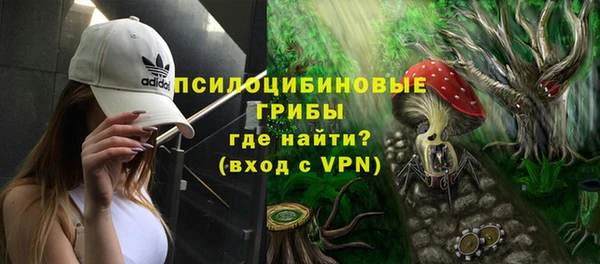 ПСИЛОЦИБИНОВЫЕ ГРИБЫ Сатка