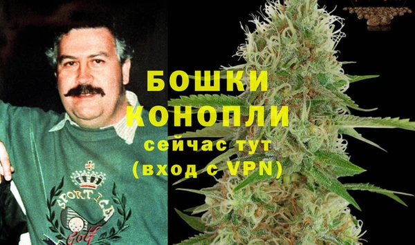 ПСИЛОЦИБИНОВЫЕ ГРИБЫ Сатка