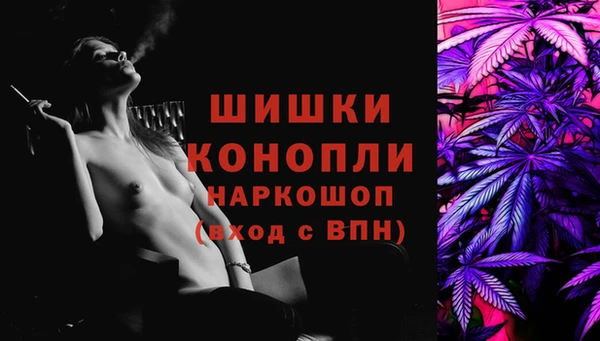 ПСИЛОЦИБИНОВЫЕ ГРИБЫ Сатка